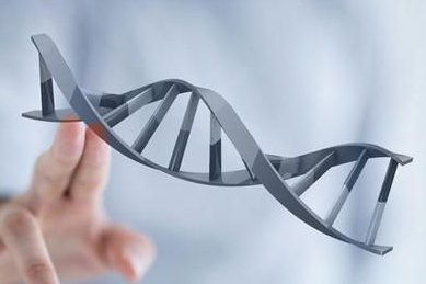 试管移植后第五天出现乳房胀痛和乳头颜色变化的原因是什么？