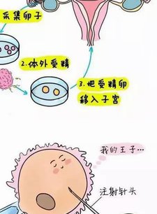 南宁二院试管步骤有哪些？来看看试管婴儿实施措施！