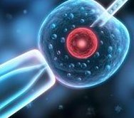 做试管婴儿前中医怎么调理