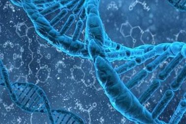 2026广东试管医院前十排名公布，附成功率及费用介绍