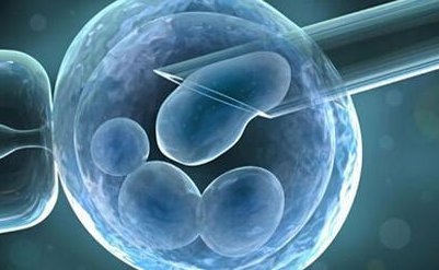 2026泰国帕亚泰2医院试管婴儿费用是多少？